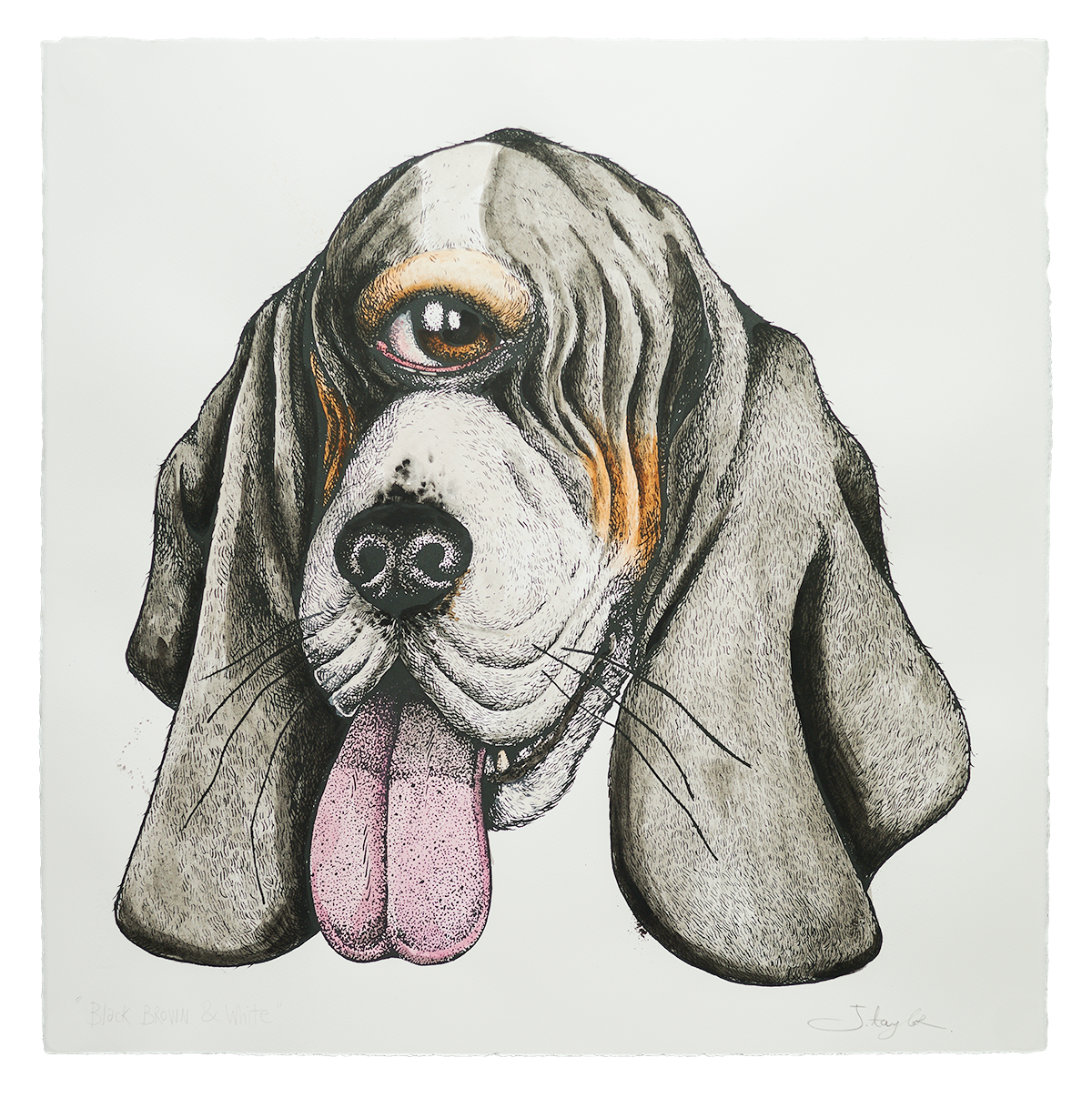 'Your Son Just Bit My Dog' (Black, Brown & White) Hand-finished with Watercolours