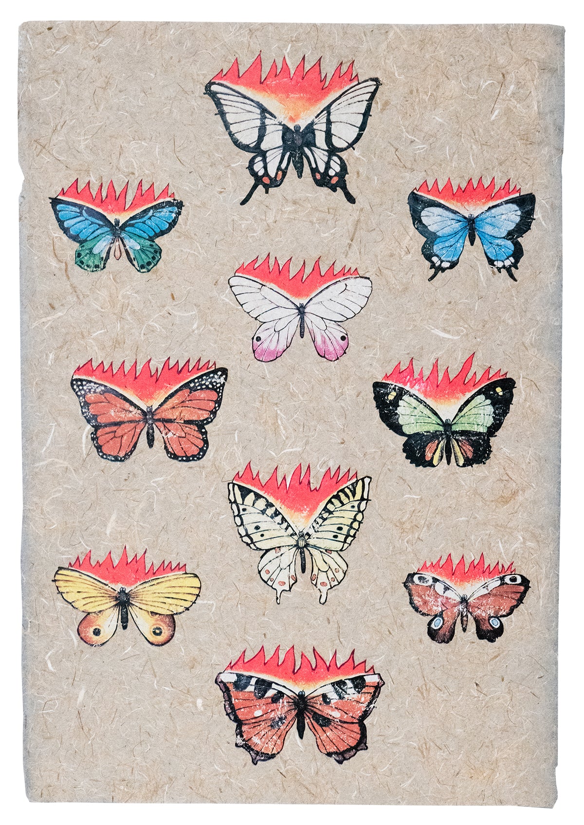 Butterflies (Edition of 25 on Japanese Paper)