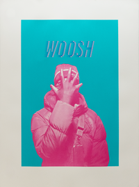 Woosh Varied Edition 10/10